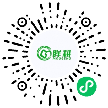 微信小程序