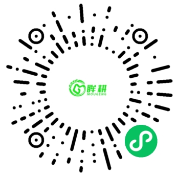 微信小程序